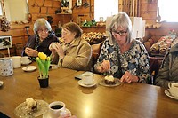 IMG_0140