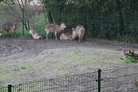 IMG_0406