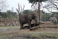 IMG_0408