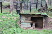 IMG_0435