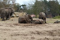 IMG_0467