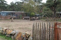 IMG_0473
