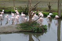IMG_0483
