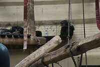 IMG_0491