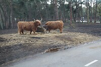 IMG_0546