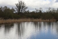 IMG_0731