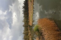 IMG_0739