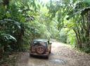 Door de savanne en jungle crossen