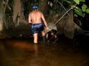 Vissen in de jungle