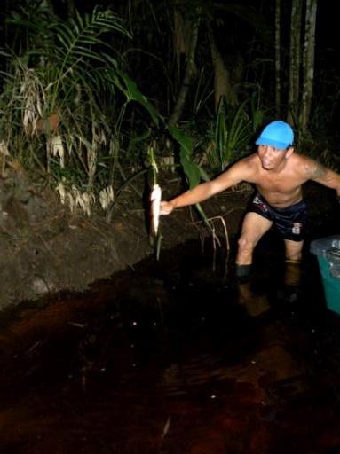Vissen in de jungle 2