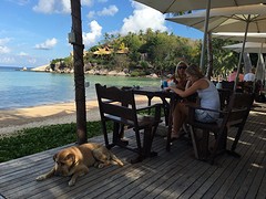 laatste ontbijtje op Koh Tao