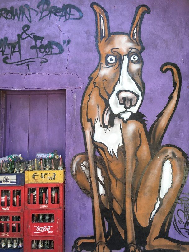Sreetart Palolem