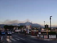 bosbranden