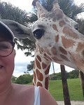 IMG_20180923_152502_523