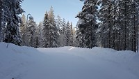 20200208_104015