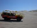 the buggy