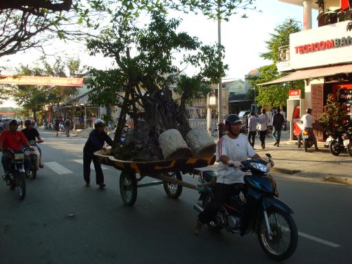 DSC08175