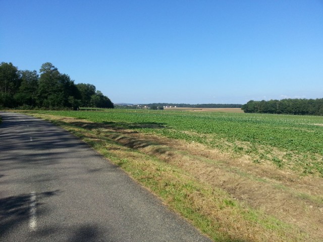 20140902_105958