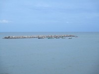 IMG_0157
