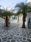 IMG_0264