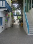 IMG_0267