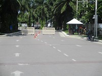 IMG_0310