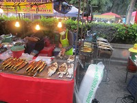 IMG_0334