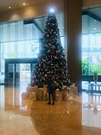 kerstboom