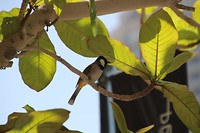 IMG_3171