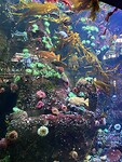 Aquarium op het vliegveld