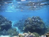 Onderwaterwereld