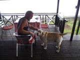 Op de veranda