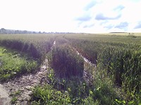 P_20180613_083714