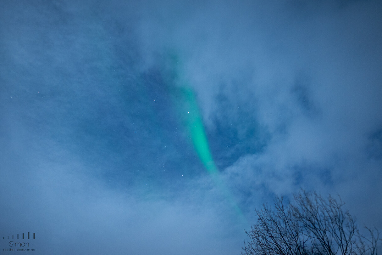 Noorderlicht