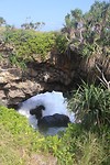 landbridge H..