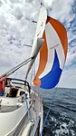 spinnaker