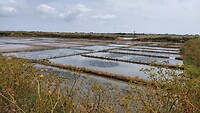 zoutvelden bij Pornichet