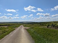 1000002460