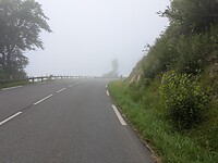1000013391