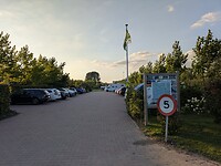 1000015203