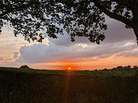 PXL_20260716_192132523