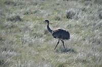 Torres del Paine 02