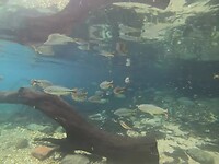 Rio da Prata 01