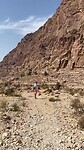 Dana Nature Reserve