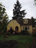 A new home