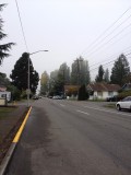 The main road