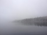 Fog..