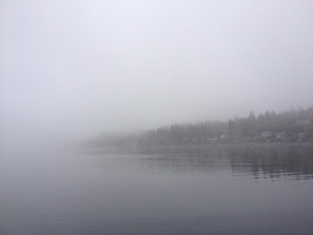 Fog..
