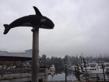 Downtown Olympia