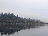 Downtown Olympia